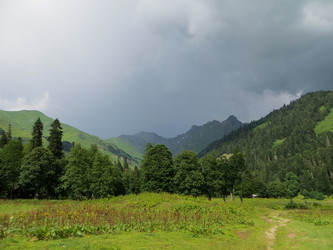 Similar image 21492767