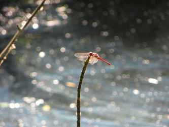 Similar image 21492772