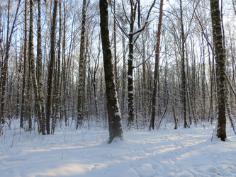 Similar image 21491530