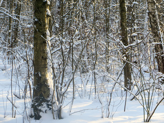 Similar image 21491531