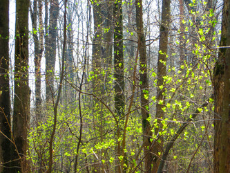 Similar image 21493491