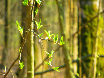 Similar image 21493492