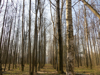 Similar image 21493493