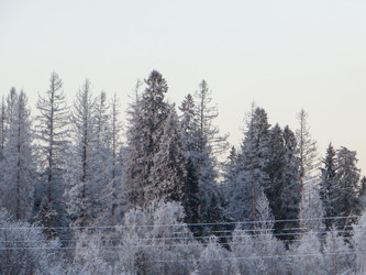 Similar image 21491542