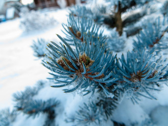 Similar image 21492776