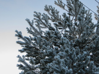 Similar image 21492780