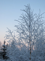 Similar image 21491543