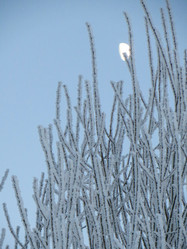 Similar image 21491544