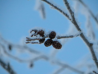 Similar image 21492782