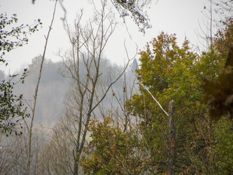 Similar image 21493495