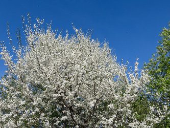 Similar image 21493496