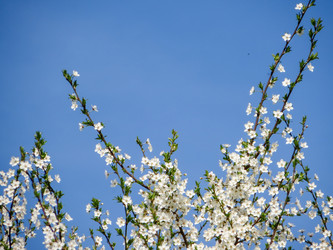 Similar image 21493497