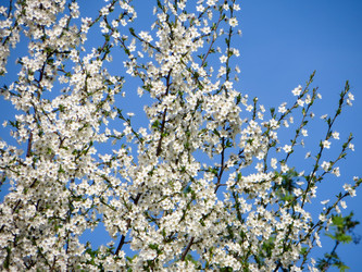 Similar image 21493498