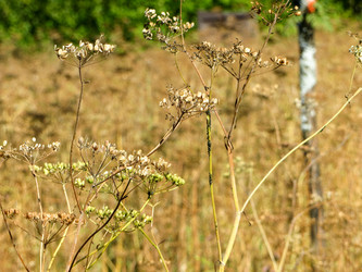 Similar image 21493500