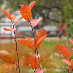 Similar image 21493502