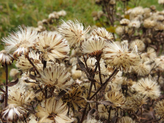 Similar image 21493504