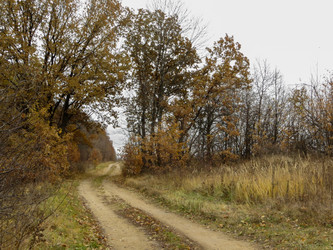 Similar image 21493505