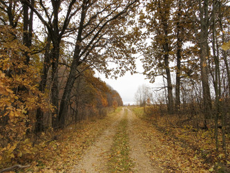 Similar image 21493506