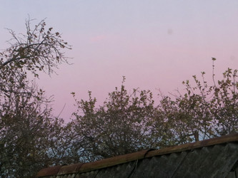 Similar image 21493507