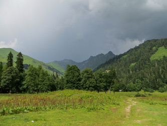 Similar image 21492785