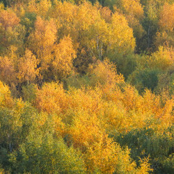 Similar image 21493512