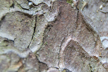 Similar image 21494964