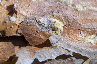 Similar image 21494965