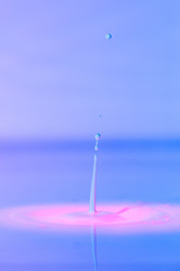 Similar image 21493724