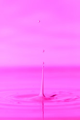 Similar image 21493725