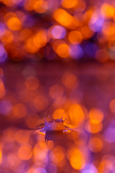 Similar image 21493734