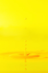 Similar image 21493748