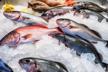 Similar image 21493755