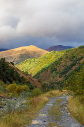 Similar image 21493762