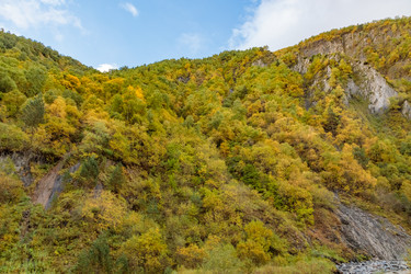 Similar image 21493763