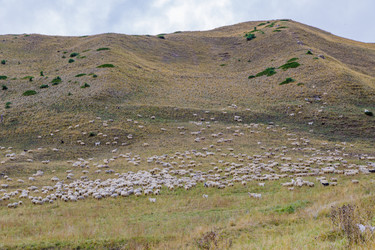 Similar image 21493764