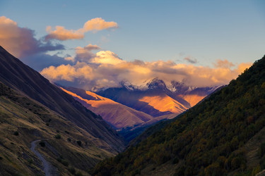 Similar image 21493768