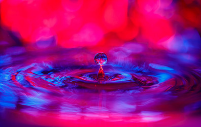 Similar image 21493834