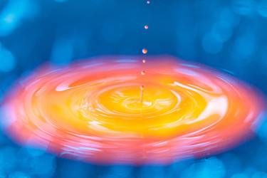 Similar image 21493835