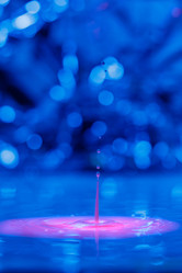 Similar image 21492829