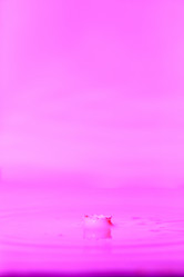 Similar image 21492831