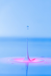 Similar image 21492834