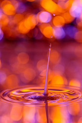 Similar image 21492836