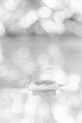 Similar image 21492837