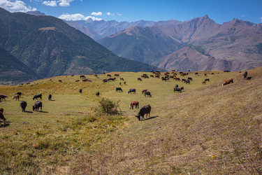 Similar image 21492843