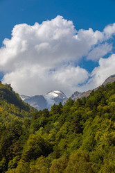 Similar image 21492848