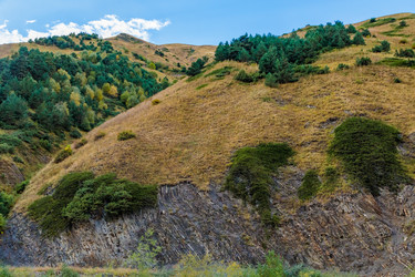 Similar image 21492857