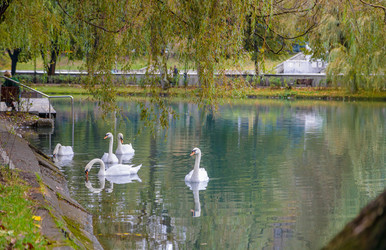 Similar image 21492858