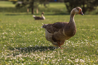 Similar image 21497139