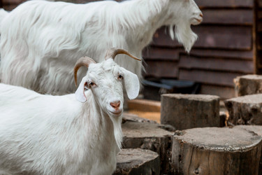 Similar image 21497231