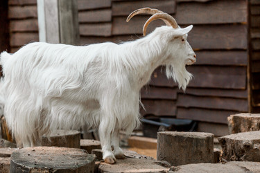 Similar image 21497232